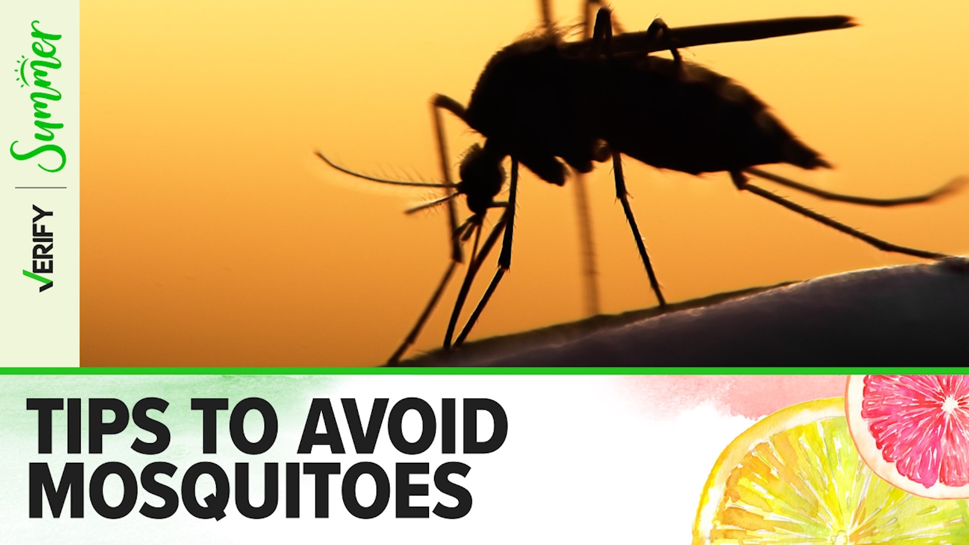 Mosquito-borne diseases kill about 700,000 people per year worldwide. Bubbles don’t repel them. They’re attracted to black, red, orange and people with type O blood.