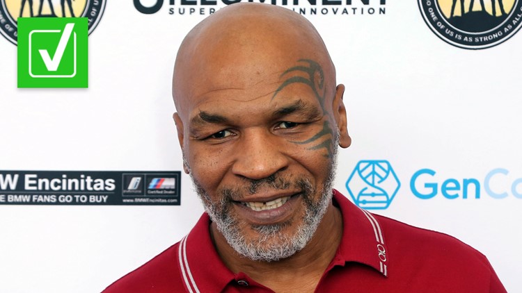Yes, a Colorado law prohibits Mike Tyson from selling his ear-shaped edibles in the state