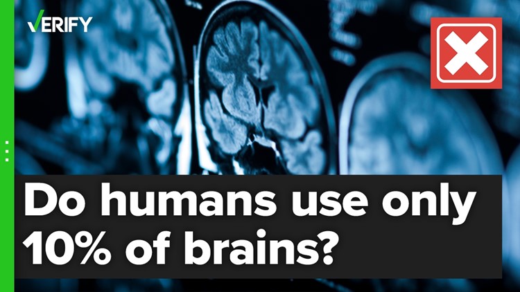 No, we do not use only 10% of our brains