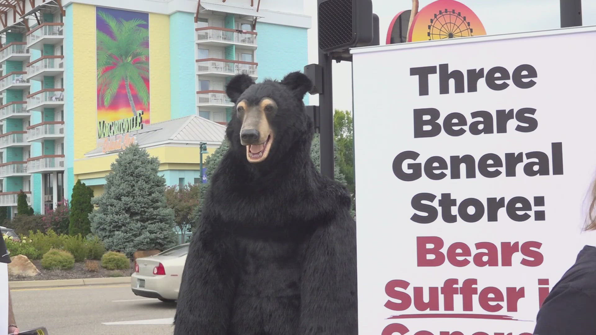 If you passed by the Three Bears General Store in Pigeon Forge, you may have noticed a unique bear outside. PETA is targeting the store over its live bear enclosure.