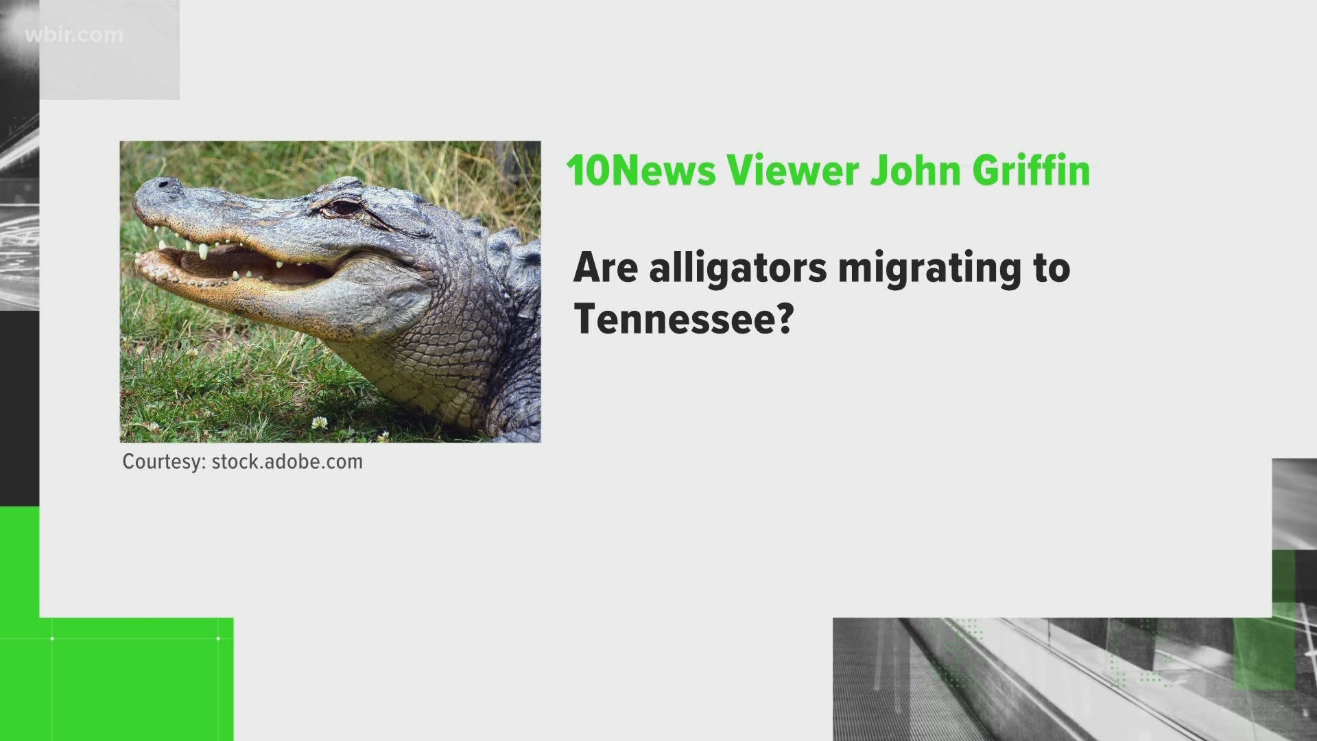 There are a lot of animals that call East Tennessee home, but some viewers wanted to know if some new creatures were migrating to Tennessee.
