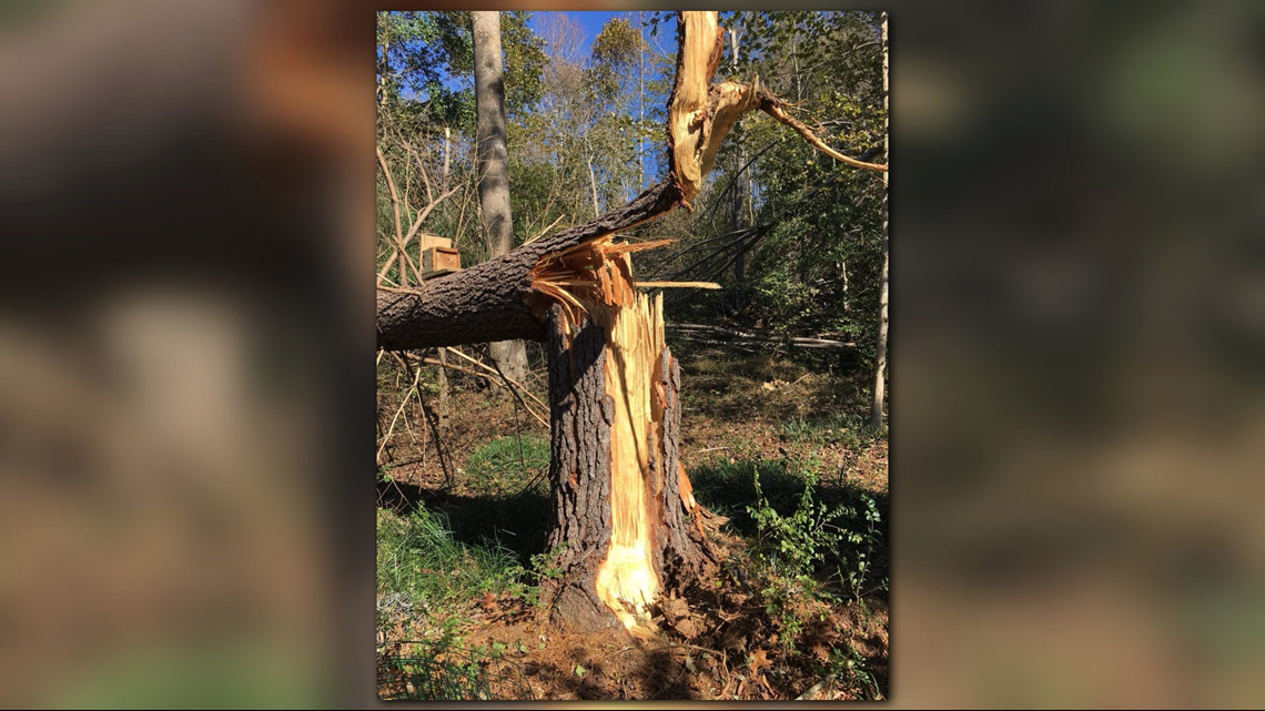 Severe weather watches vs warnings: What's the difference? | kare11.com