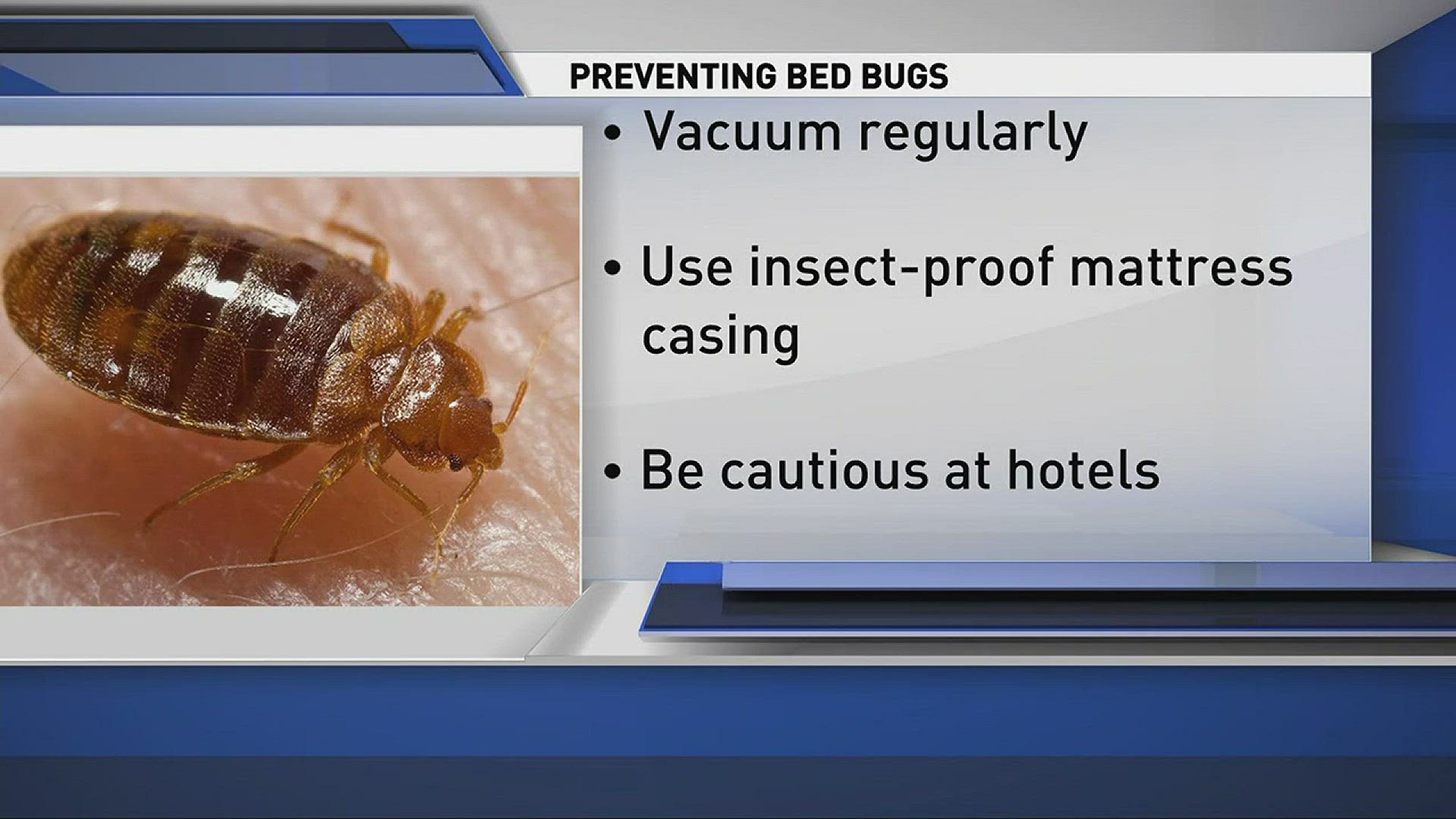 Cleveland named most infested bed bug city in America