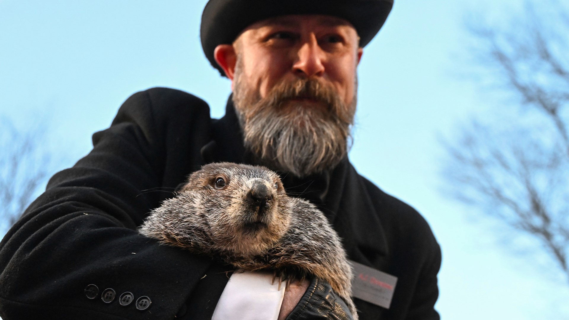 PETA wants to replace Punxsutawney Phil with a giant gold coin