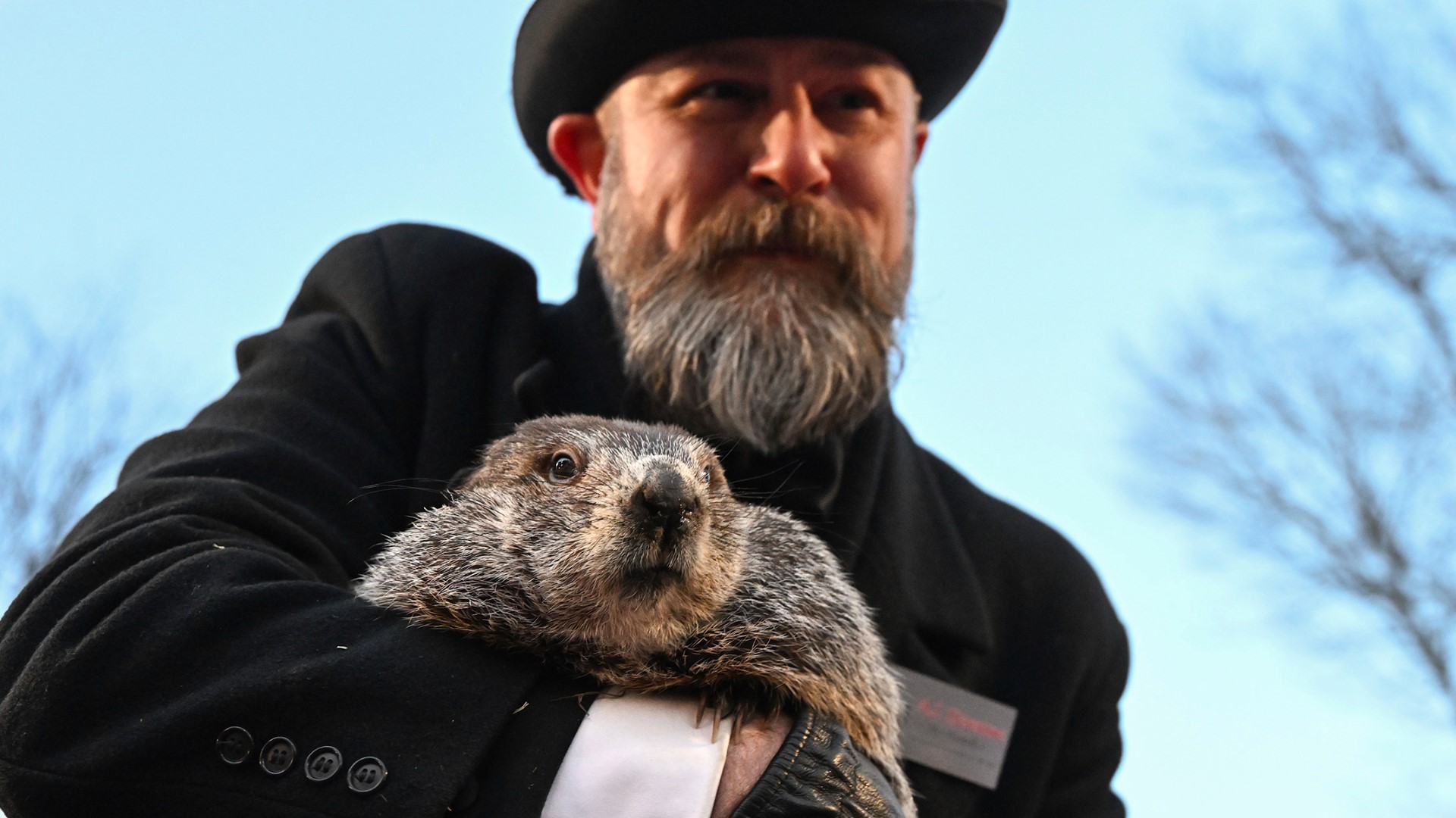 Patuxent Phil Groundhog 2025