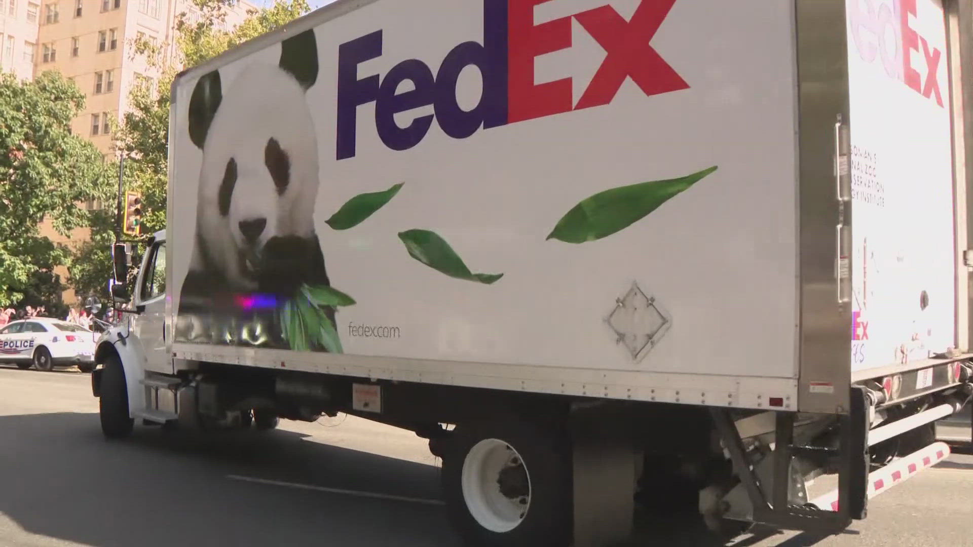 The nation's capital is set for some fresh panda-monium this week as two giant pandas landed in Washington, D.C. Tuesday morning.